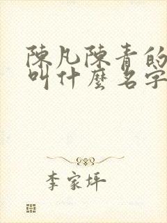 陈凡陈青的小说叫什么名字