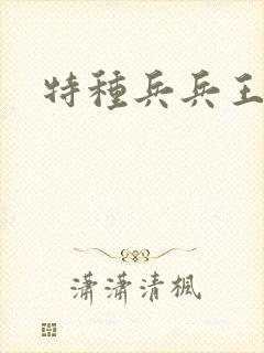 特种兵兵王小说