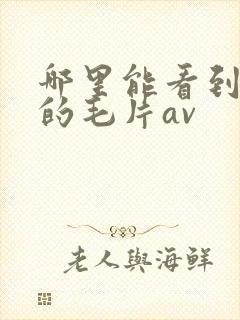 哪里能看到免费的毛片av