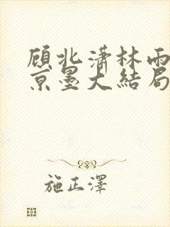 顾北潇林雨菲谢京墨大结局封面