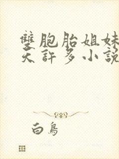 双胞胎姐妹乐翻天许多小说说免费阅读