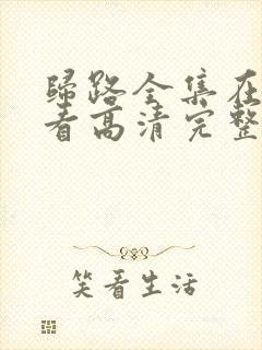 归路全集在线观看高清完整版电视剧