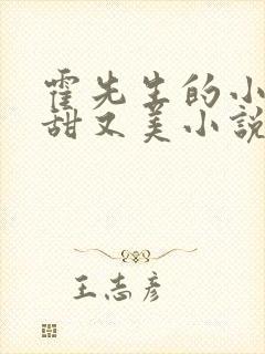 霍先生的小祖宗甜又美小说