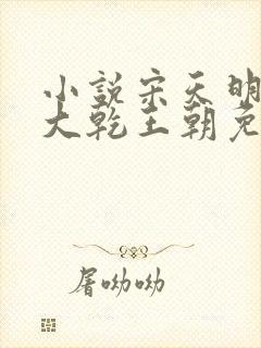 小说宋天明穿越大乾王朝免费阅读