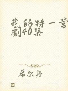 我的特一营电视剧40集