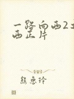 一路向西2之泰西正片