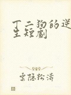 丁二狗的逆袭人生短剧