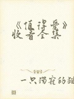 《值得爱》免费收看全集封面