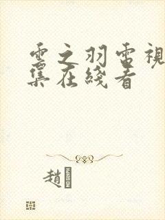 云之羽电视剧全集在线看封面