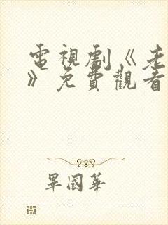 电视剧《老九门》免费观看全集下载