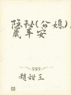 隐秘(公媳)岁岁平安封面