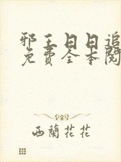 邪王日日追妻忙免费全本阅读