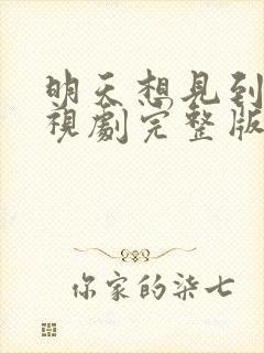 明天想见到你电视剧完整版免费观看封面