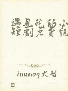 遇见我的小欢喜短剧免费观看全集高清