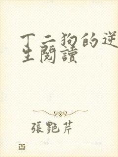 丁二狗的逆袭人生阅读