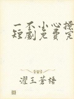 一不小心撩错人短剧免费完整版