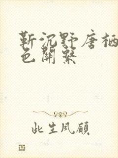 靳沉野唐栖雾角色关系