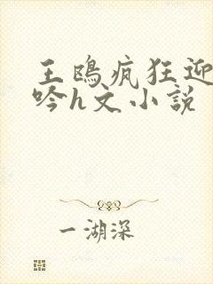 王鸥疯狂迎合呻吟h文小说封面