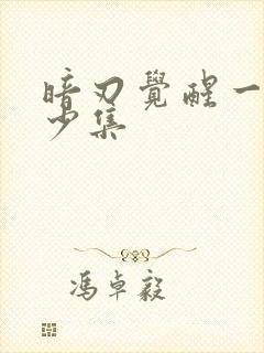 暗刃觉醒一共多少集