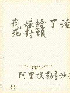 我嫁给了渣男的死对头封面