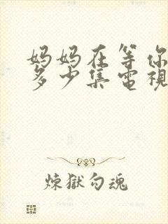 妈妈在等你总共多少集电视剧