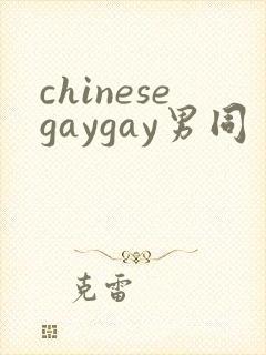 chinesegaygay男同封面