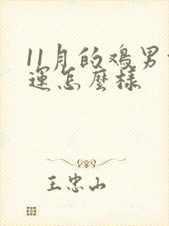 11月的鸡男命运怎么样