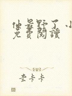 他最野了 小说免费阅读