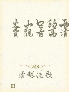 火山口的两人免费观看高清完整电影封面