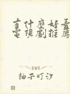 有什么好看的老电视剧推荐一下