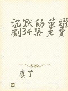 沉默的荣耀电视剧34集免费观看