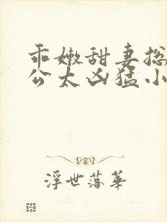 乖嫩甜妻总裁老公太凶猛小说免费阅读