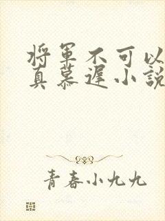 将军不可以魏云真慕迟小说笔趣阁