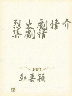 烈火剧情介绍分集剧情封面