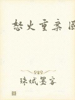 怒火重案 国语封面