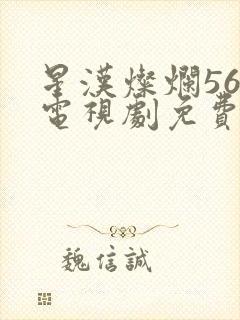 星汉灿烂56集电视剧免费看全集