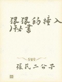 狠狠的撞入(h)秘书