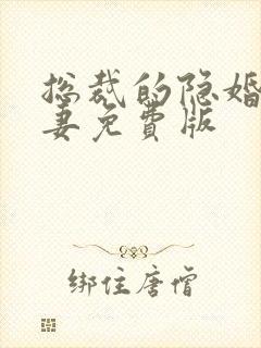 总裁的隐婚小甜妻免费版封面