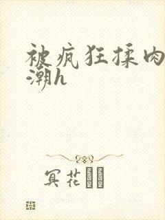 被疯狂揉肉蒂高潮h