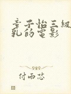 章子怡三级露全乳的电影封面