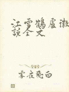 江雪鹤卢徽音小说全文