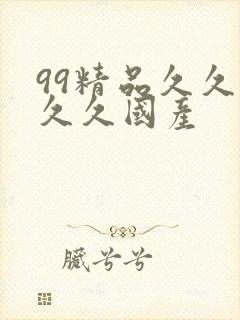 99精品久久久久久国产