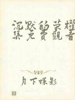 沉默的荣耀第六集免费观看全集