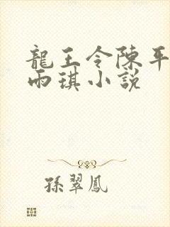 龙王令陈平,苏雨琪小说