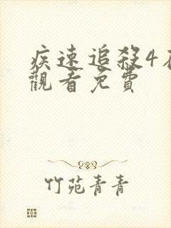 疾速追杀4在线观看免费