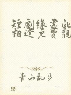 短剧缘尽此生不相逢免费观看