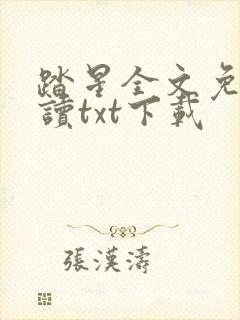 踏星全文免费阅读txt下载