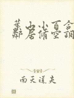 叶山小百合隔壁邻居修空调什么电影