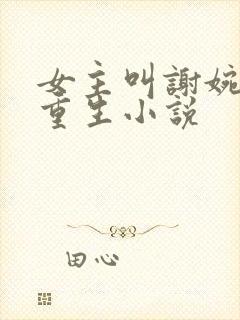 女主叫谢婉宁的重生小说