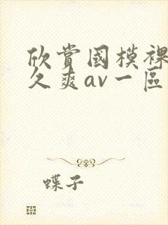 欣赏国模裸体久久爽av一区二区